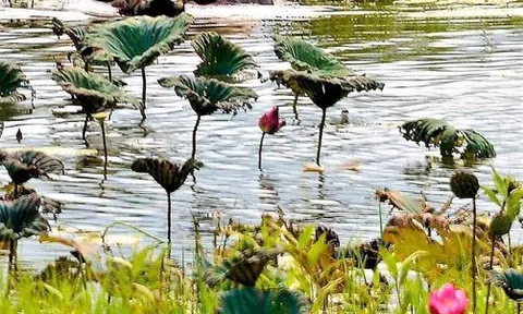 Chuyện ở quê - Một thời để nhớ