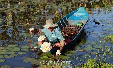 Dòng thời gian và con nước quây...