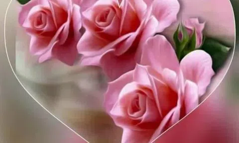 Tình yêu vượt thời gian