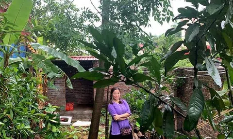 Chuyện nhặt