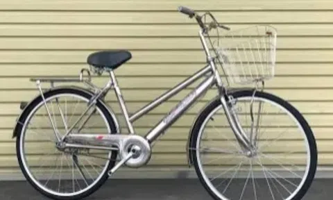 Chiếc xe đạp inox trắng (Người lính trở về)