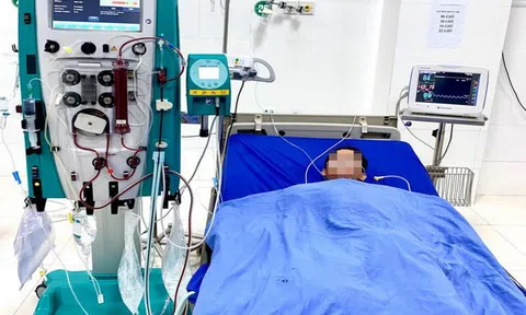 Sơn La: Kịp thời cấp cứu người bệnh ăn sâu ban miêu cực độc