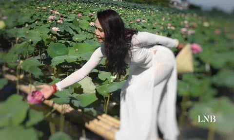 Gái Hà Nội chuẩn