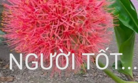 Người tốt