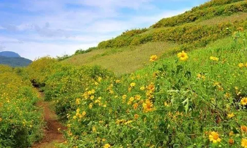 Chuyện bây giờ mới kể: Chuyện ở Trường Sơn.