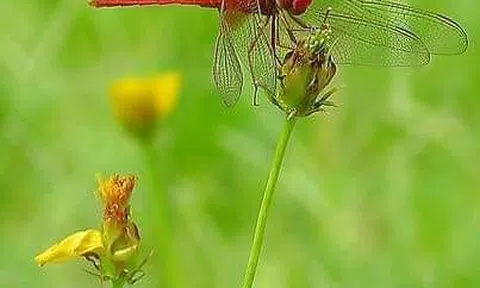 Một bài viết rất dài nhưng đáng đọc.