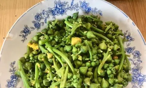 Dĩa bông mướp luộc