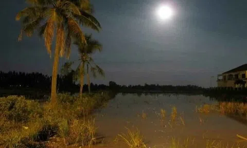 Ánh trăng tuổi thơ