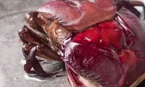 Sự đời ngẫm nghĩ