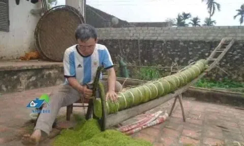 Nghề làm thuốc lào.