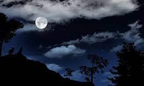 Hạnh phúc đơn thân