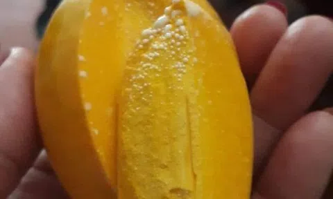 Nỗi đau này biết ngỏ cùng ai