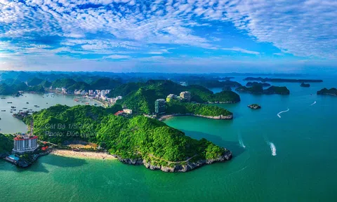 Hải Phòng: Từ 1/10 cho phép mở cửa trở lại nhiều loại hình  hoạt động