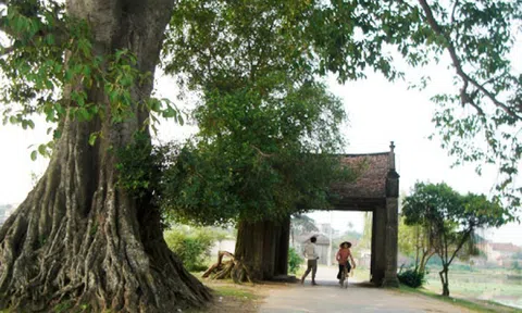 Đường quê thương nhớ...