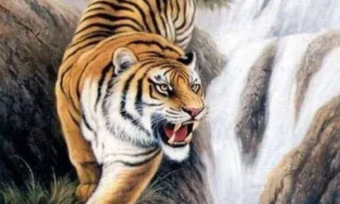 Câu chuyện cuộc sống: Đối nhân xử thế