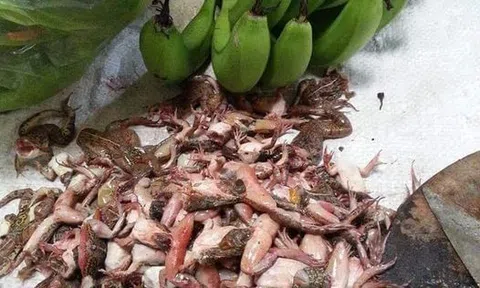 Chuyện làng ngóe (Nét ẩm thực vùng quê)