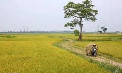 Chịu khó chờ