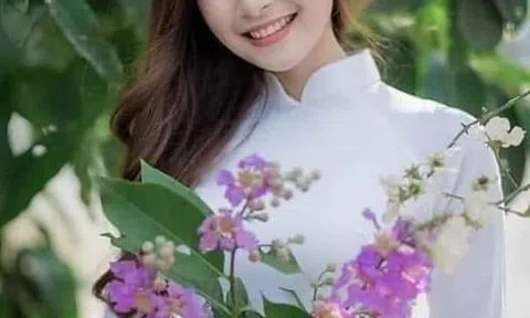 Không hề đáng trách