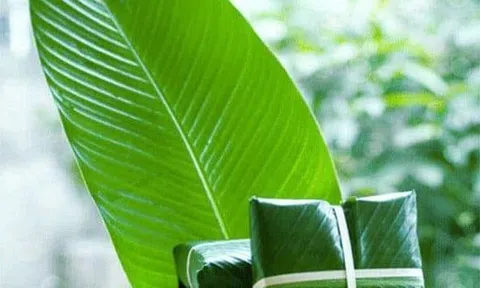 Bánh chưng của mẹ