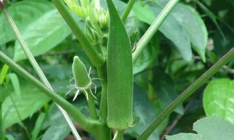 Tuổi thơ dữ dội