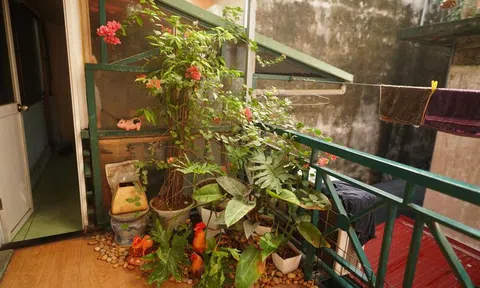 Chuyện phòng hồi sức cấp cứu