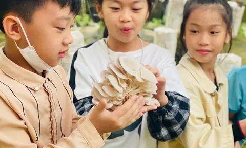 Lào Cai: Bát Xát huy động học sinh đến lớp đông đủ là tín hiệu đáng mừng cho năm học này