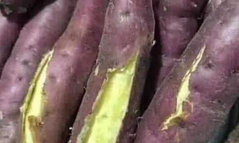 Ăn một đồng khoai, trả hai đồng bánh