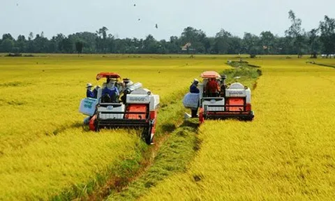 Khát vọng phát triển nông nghiệp Việt Nam theo hướng chuyển đổi mô hình tăng trưởng: Bài 1: Người Việt coi trọng nghề nông  