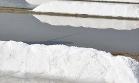 Mỹ: Phát hiện lý thú về nghề làm muối của người Maya cổ đại