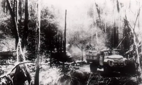 Liệt sĩ đặc cách