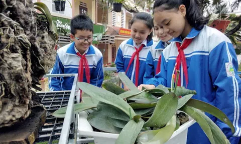 Lào Cai: Nhiều trường chuyển sang học trực tuyến do xuất hiện các ca mắc CoVid 19
