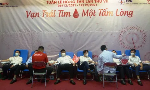 Tuyên Quang:  Cán bộ, nhân viên Công ty Điện lực hưởng ứng“Tuần lễ hồng EVN lần thứ VII"