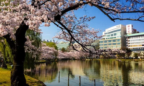 Tokyo Thủ đô của đất nước mặt trời