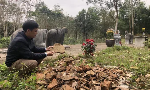  Việt Nam diễn nghĩa – Tập IV (Tiểu thuyết lịch sử) (Kỳ 14)