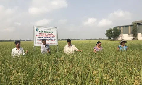 Kiên Giang: Huyện Hòn Đất thực hiện nhiều giải pháp phát triển kinh tế xã hội