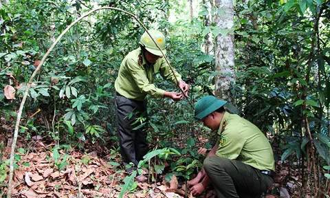 Khánh Hòa: Bảo vệ động vật hoang dã ở Hòn Bà