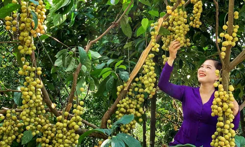 Cười - một nét văn hóa Nam Bộ