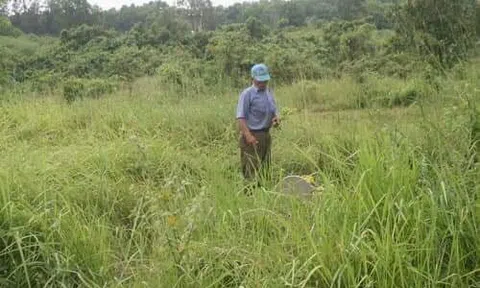 Bị phục kích