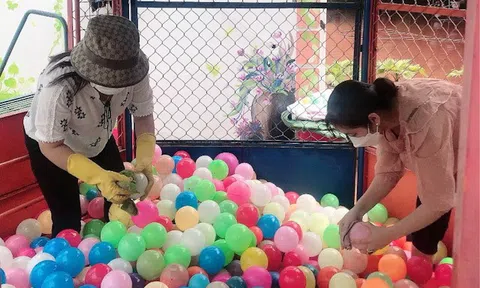 Phú Thọ: Trường học các cấp ở Việt Trì trở lại học trực tiếp từ 4/4/2022