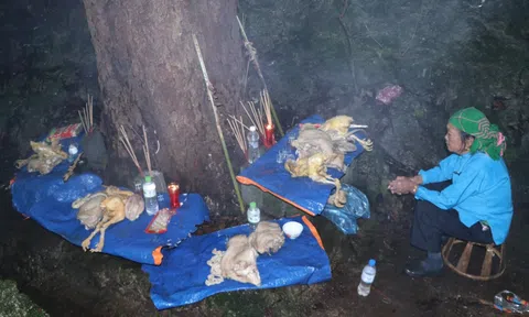 Lai Châu: Đặc sắc lễ hội Háu Đoong của đồng bào dân tộc Giáy