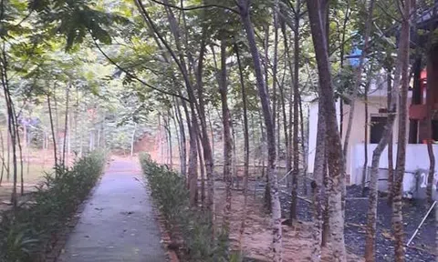 Quân ơi ! (Kính tặng chị Mai Đào)