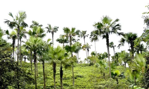 Không bao giờ quên