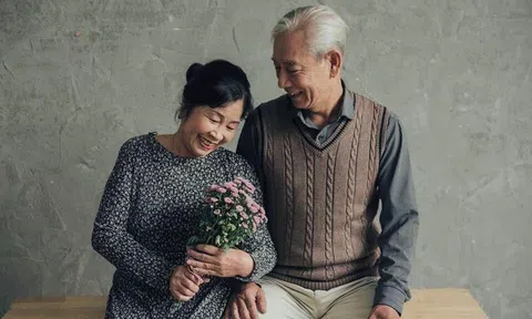 Chở củi đi đâu