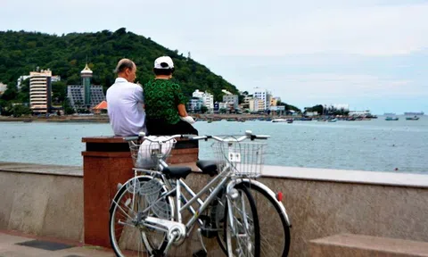 Chuyện nhặt: Đôi bạn già