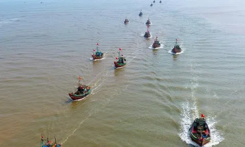      Dài theo đất nước: Nổi trôi... sông nước miền Tây                                                                   