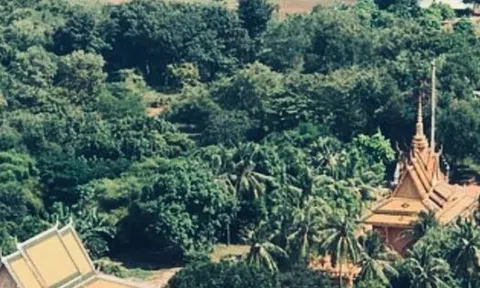 Đường về (Phần 2: Người lính bị lạc)..