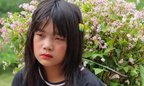 Nỗi buồn đèo Thẩm Mã, sông Nho Quế trên cung đường ấn tượng Hà Giang