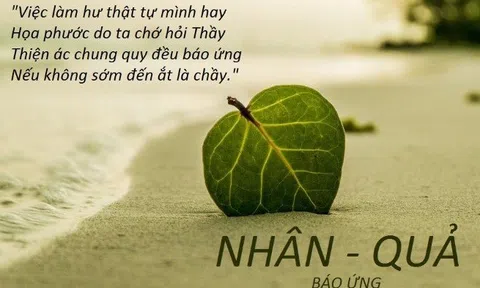 Suy ngẫm về luật nhân quả