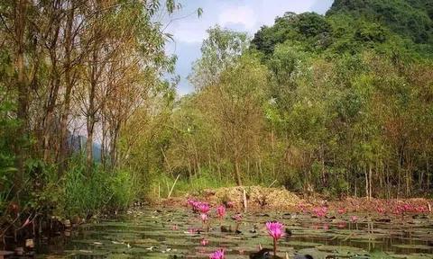 Chiến tranh đã hết thật