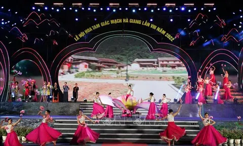 Hà Giang:  Vẻ đẹp hoa Tam Giác Mạch - "Sức sống cao nguyên đá" thu hút du khách
